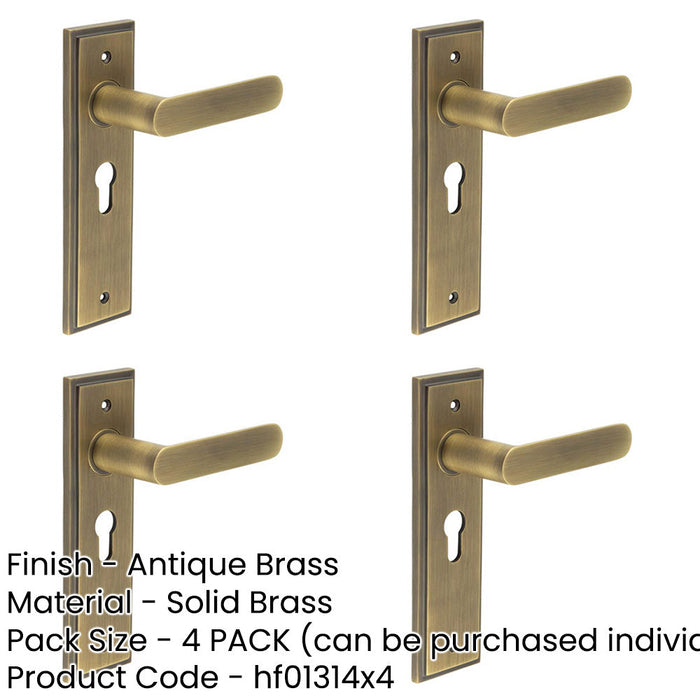 PACK Antique Brass Euro Backplate Door Handle Premium Quality Solid Brass Interior Handle-1