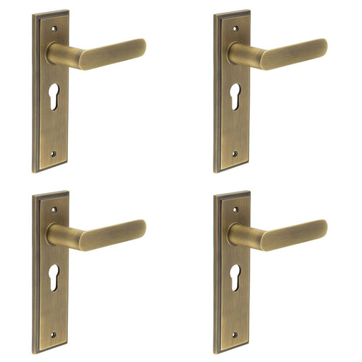 PACK Antique Brass Euro Backplate Door Handle Premium Quality Solid Brass Interior Handle