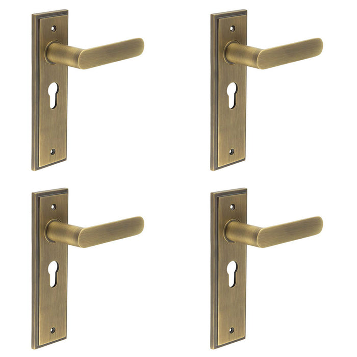 PACK Antique Brass Euro Backplate Door Handle Premium Quality Solid Brass Interior Handle