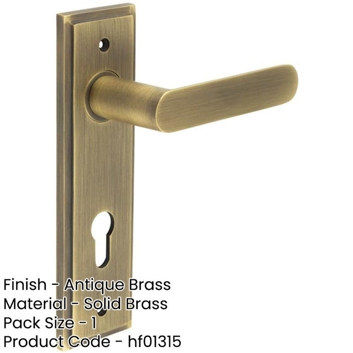 Elegant Antique Brass Door Handle with Euro Backplate Solid Brass Interior Handle (2)-1