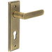 Elegant Antique Brass Door Handle with Euro Backplate Solid Brass Interior Handle (2)