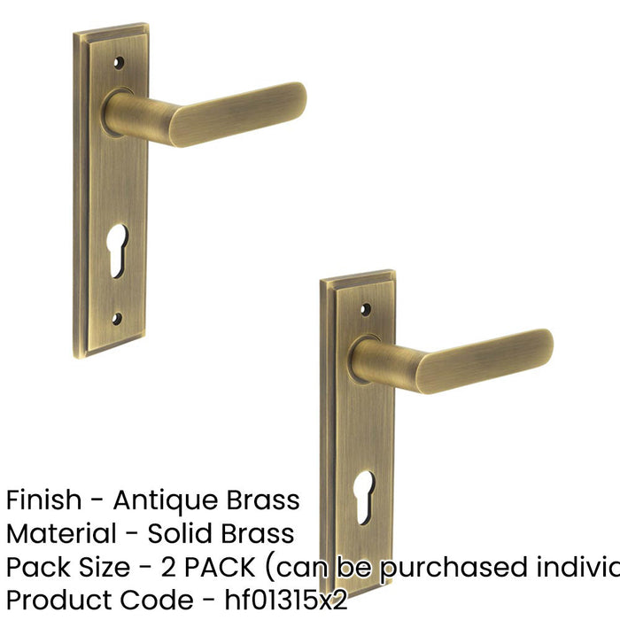 PACK Elegant Antique Brass Door Handle with Euro Backplate Solid Brass Interior Handle (6)-1