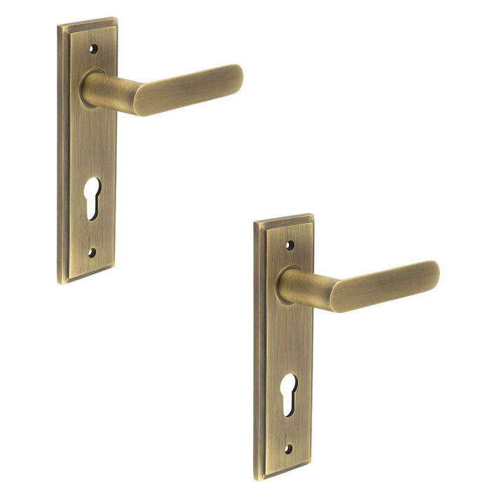 PACK Elegant Antique Brass Door Handle with Euro Backplate Solid Brass Interior Handle (6)