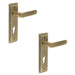 PACK Elegant Antique Brass Door Handle with Euro Backplate Solid Brass Interior Handle (6)