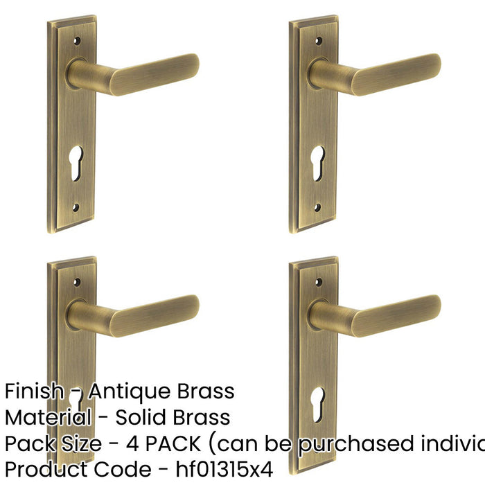 PACK Elegant Antique Brass Door Handle with Euro Backplate Solid Brass Interior Handle (2)-1