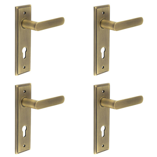 PACK Elegant Antique Brass Door Handle with Euro Backplate Solid Brass Interior Handle (2)