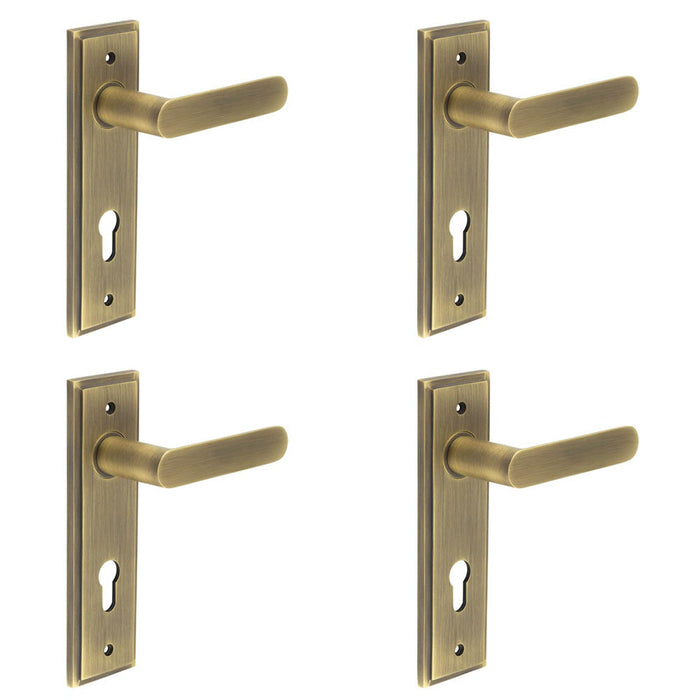 PACK Elegant Antique Brass Door Handle with Euro Backplate Solid Brass Interior Handle (2)