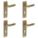 PACK Elegant Antique Brass Door Handle with Euro Backplate Solid Brass Interior Handle (2)