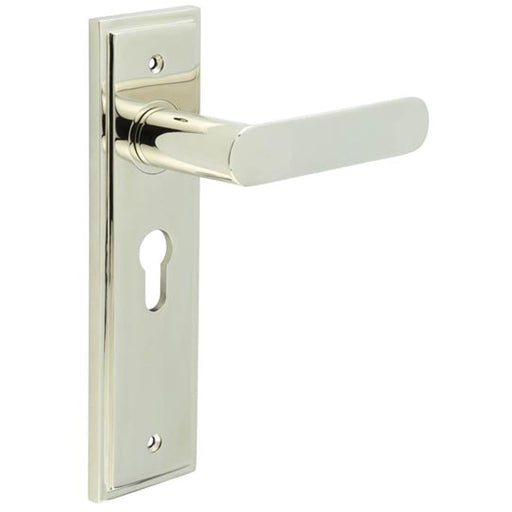 Elegant Polished Nickel Door Handle with Euro Backplate Solid Brass Interior Handle (2)