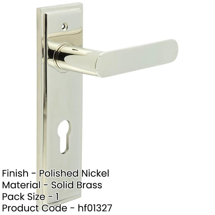 Elegant Polished Nickel Door Handle with Euro Backplate Solid Brass Interior Handle (3)-1