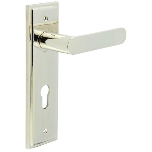 Elegant Polished Nickel Door Handle with Euro Backplate Solid Brass Interior Handle (3)