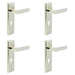 PACK Elegant Polished Nickel Door Handle with Euro Backplate Solid Brass Interior Handle (3)