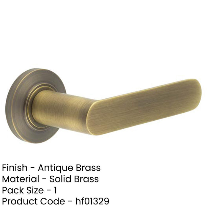 Antique Brass Door Handle with Chamfered Rose Elegant Interiors Solid Brass Interior Handle-1