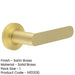 Satin Brass Door Handle with Plain Rose Design Modern Interiors Solid Brass Interior Handle-1