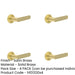 PACK Satin Brass Door Handle with Plain Rose Design Modern Interiors Solid Brass Interior Handle-1