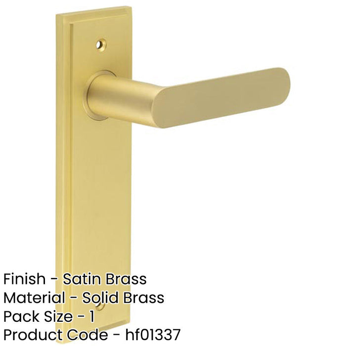 Satin Brass Door Handle Latch Backplate Elegant Interiors Solid Brass Interior Handle-1