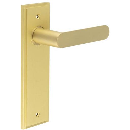 Satin Brass Door Handle Latch Backplate Elegant Interiors Solid Brass Interior Handle