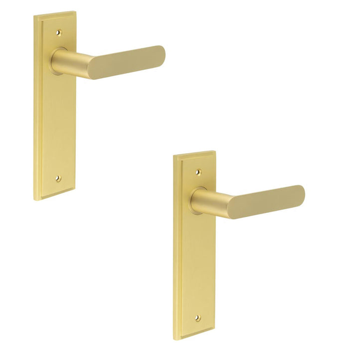 PACK Satin Brass Door Handle Latch Backplate Elegant Interiors Solid Brass Interior Handle (2)