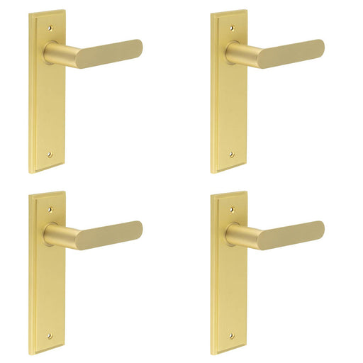 PACK Satin Brass Door Handle Latch Backplate Elegant Interiors Solid Brass Interior Handle