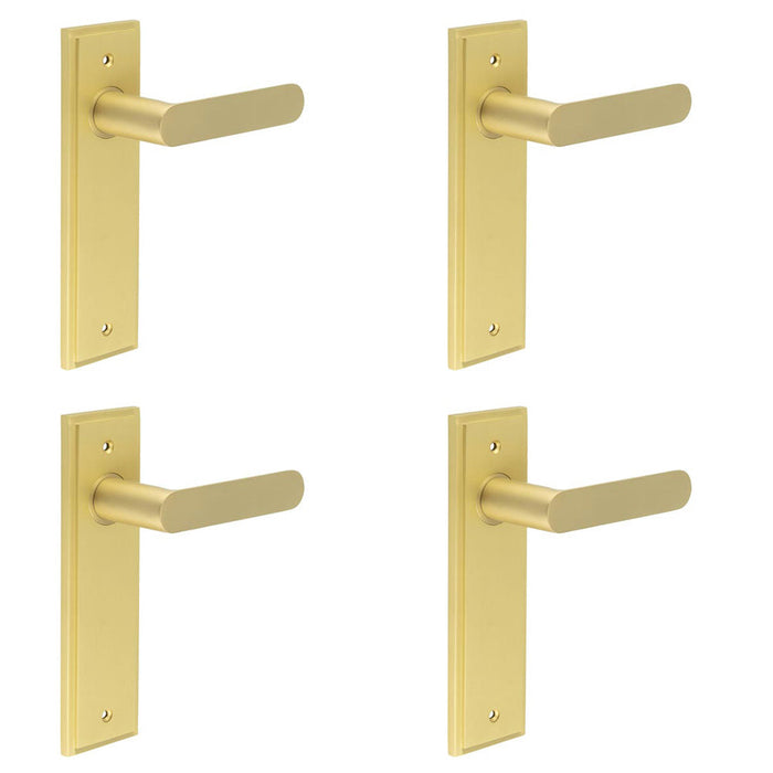 PACK Satin Brass Door Handle Latch Backplate Elegant Interiors Solid Brass Interior Handle