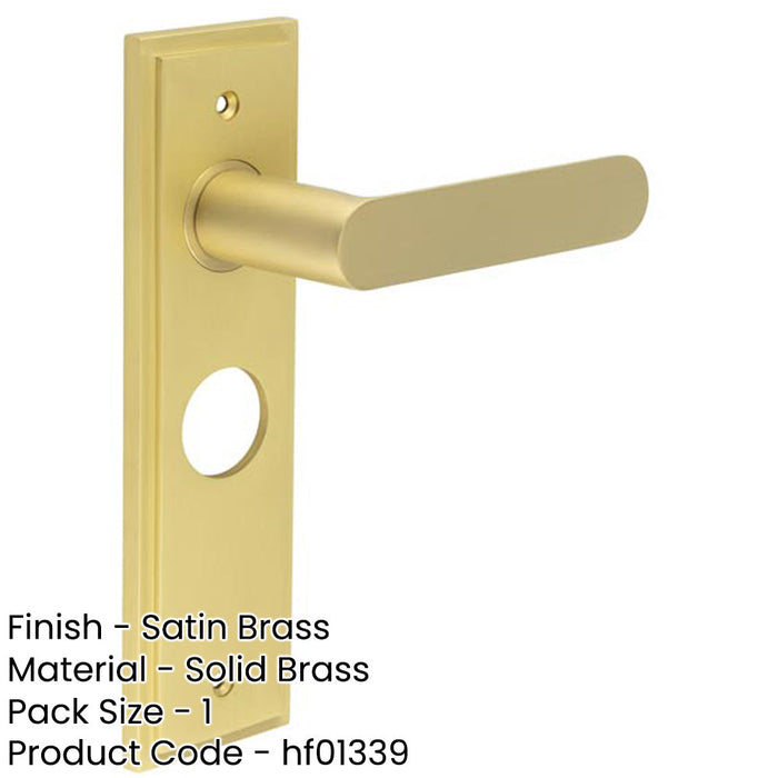 Luxurious Satin Brass Bathroom Door Handle with Backplate Solid Brass Interior Handle-1