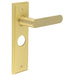 Luxurious Satin Brass Bathroom Door Handle with Backplate Solid Brass Interior Handle