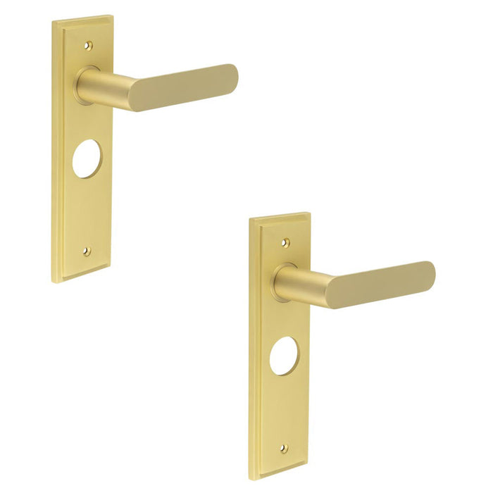 PACK Luxurious Satin Brass Bathroom Door Handle with Backplate Solid Brass Interior Handle (1)