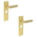 PACK Luxurious Satin Brass Bathroom Door Handle with Backplate Solid Brass Interior Handle (1)