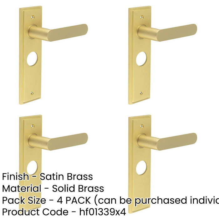 PACK Luxurious Satin Brass Bathroom Door Handle with Backplate Solid Brass Interior Handle-1