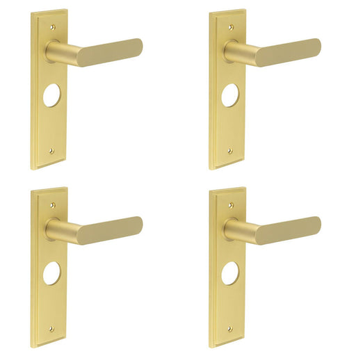 PACK Luxurious Satin Brass Bathroom Door Handle with Backplate Solid Brass Interior Handle