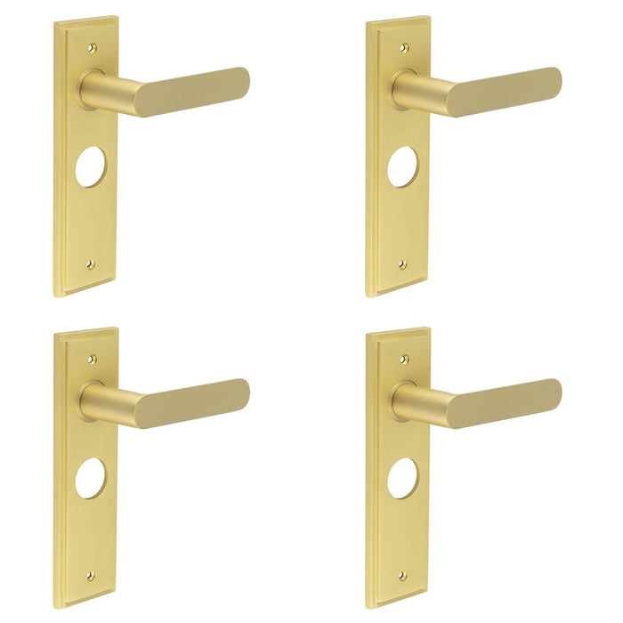 PACK Luxurious Satin Brass Bathroom Door Handle with Backplate Solid Brass Interior Handle