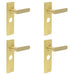 PACK Luxurious Satin Brass Bathroom Door Handle with Backplate Solid Brass Interior Handle