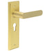 Elegant Satin Brass Euro Backplate Door Handle Luxury Interiors Solid Brass Interior Handle