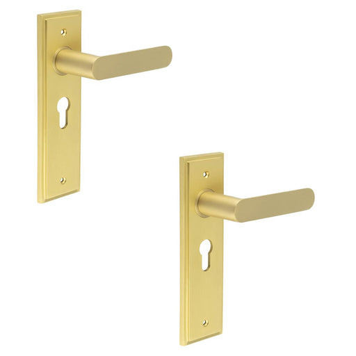 PACK Elegant Satin Brass Euro Backplate Door Handle Luxury Interiors Solid Brass Interior Handle (1)