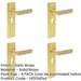 PACK Elegant Satin Brass Euro Backplate Door Handle Luxury Interiors Solid Brass Interior Handle-1