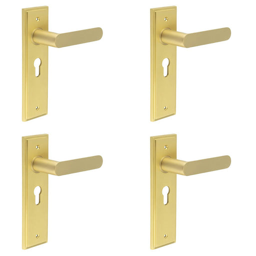 PACK Elegant Satin Brass Euro Backplate Door Handle Luxury Interiors Solid Brass Interior Handle