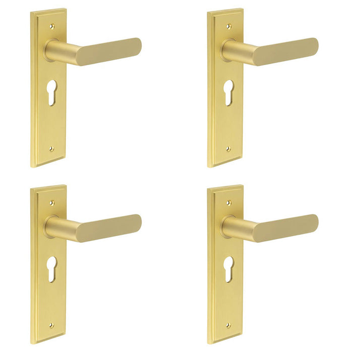 PACK Elegant Satin Brass Euro Backplate Door Handle Luxury Interiors Solid Brass Interior Handle