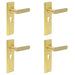 PACK Elegant Satin Brass Euro Backplate Door Handle Luxury Interiors Solid Brass Interior Handle