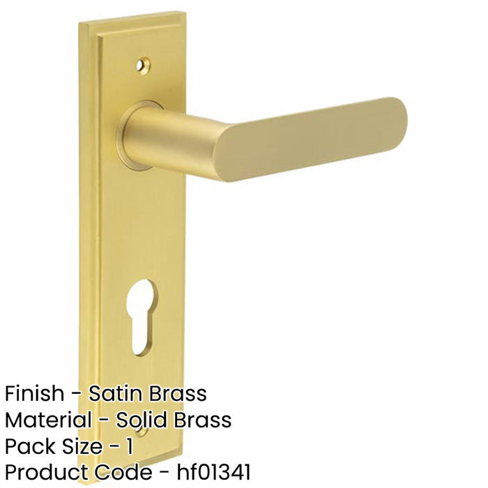 Elegant Satin Brass Door Handle with Euro Backplate Premium Interiors Solid Brass Interior Handle-1