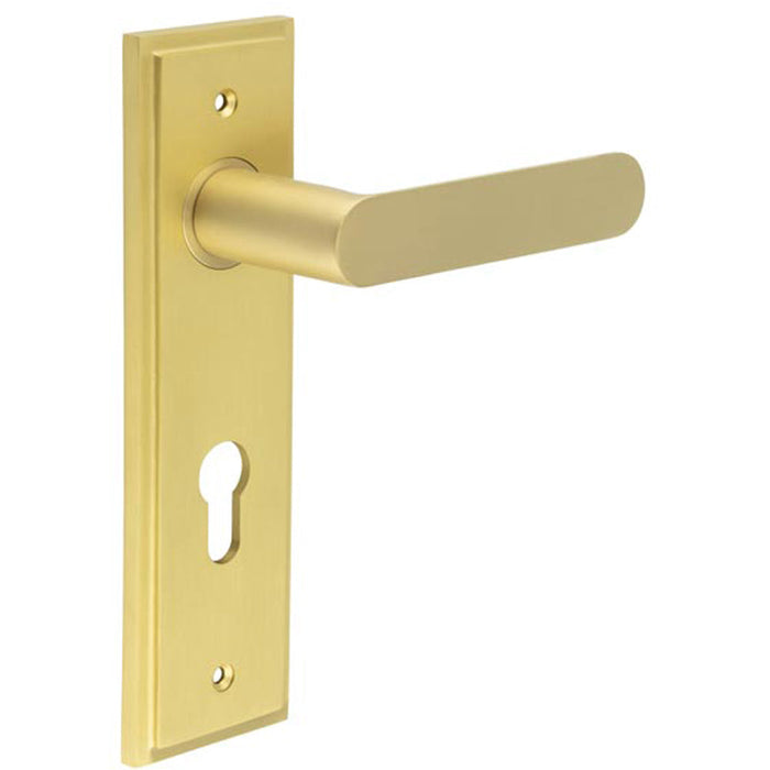 Elegant Satin Brass Door Handle with Euro Backplate Premium Interiors Solid Brass Interior Handle