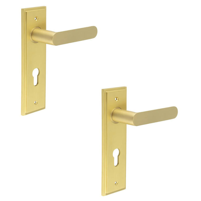 PACK Elegant Satin Brass Door Handle with Euro Backplate Premium Interiors Solid Brass Interior Handle (1)