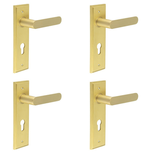 PACK Elegant Satin Brass Door Handle with Euro Backplate Premium Interiors Solid Brass Interior Handle