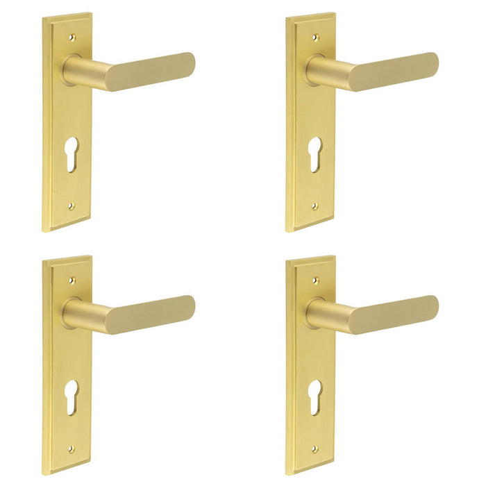 PACK Elegant Satin Brass Door Handle with Euro Backplate Premium Interiors Solid Brass Interior Handle