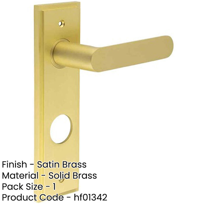 Satin Brass Door Handle with Backplate Bathrooms Solid Brass Interior Handle (1)-1