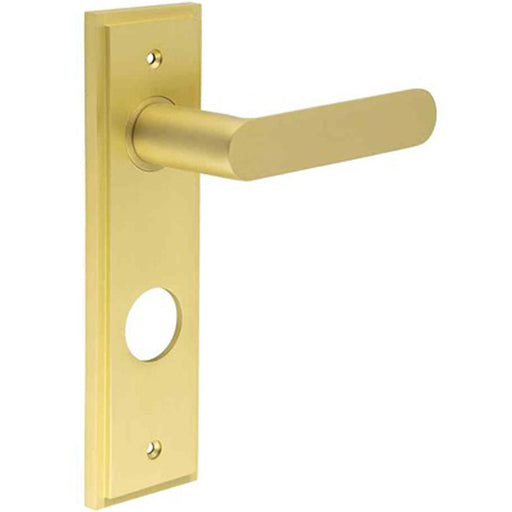 Satin Brass Door Handle with Backplate Bathrooms Solid Brass Interior Handle (1)