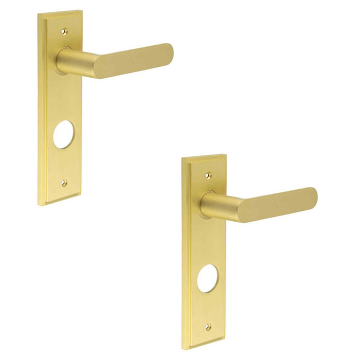 PACK Satin Brass Door Handle with Backplate Bathrooms Solid Brass Interior Handle (3)