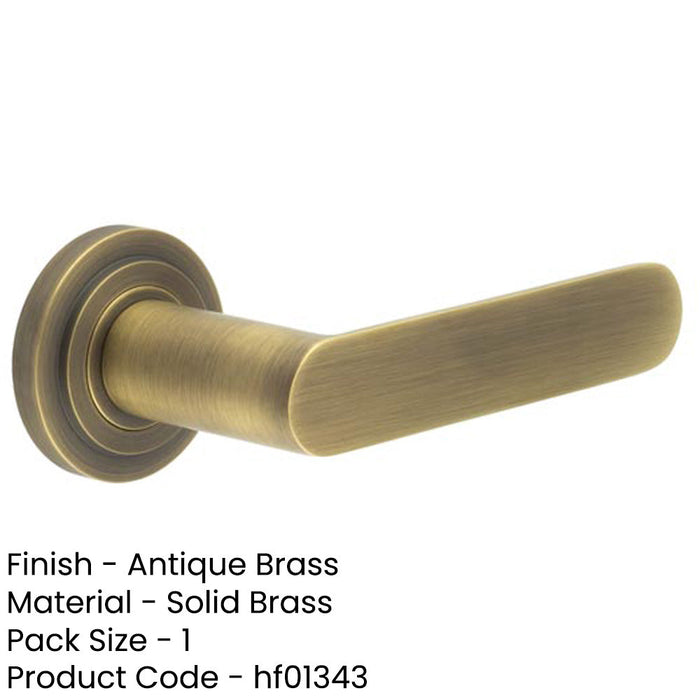 Antique Brass Door Handle with Stepped Rose Design Stylish Interiors Solid Brass Interior Handle-1