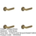 PACK Antique Brass Door Handle with Stepped Rose Design Stylish Interiors Solid Brass Interior Handle-1