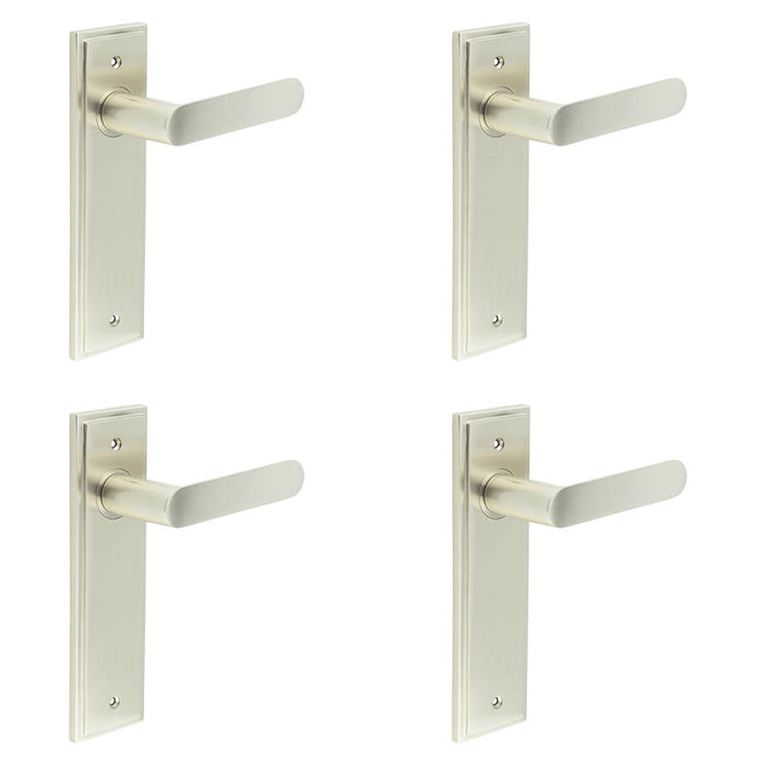 PACK Satin Nickel Door Handle Latch Backplate Elegant Brass Finish Solid Brass Interior Handle