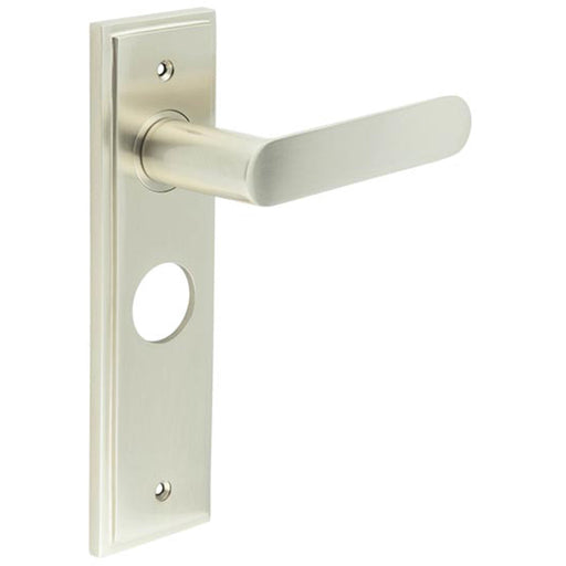 Satin Nickel Bathroom Door Handle Backplate Elegant Solid Brass Design Solid Brass Interior Handle